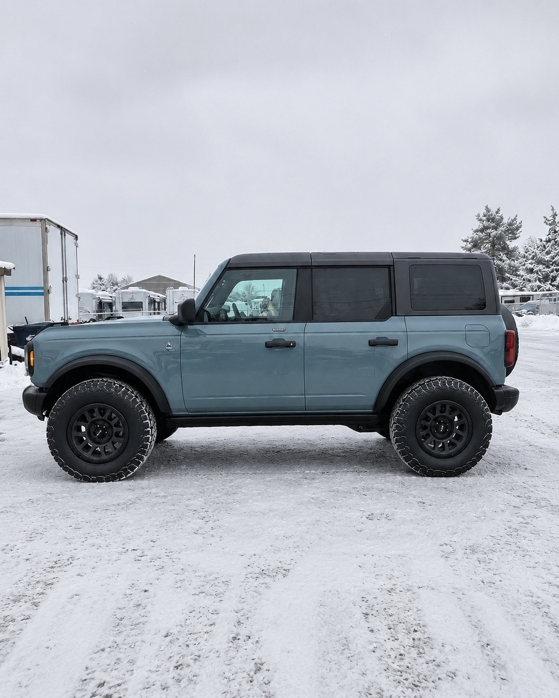 snowy bronco